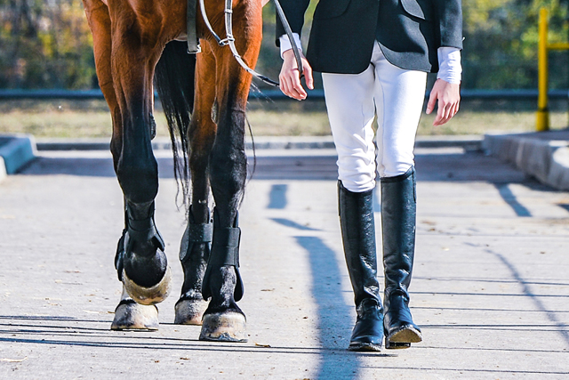wedstrijdcombinaties paarden